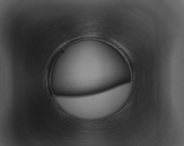 X0000100911452200806241041