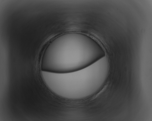 X0000100911453200806241041