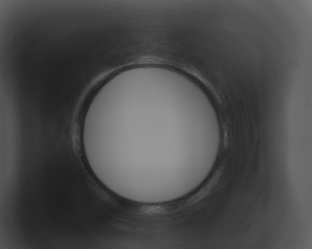 X0000100911454200806241041