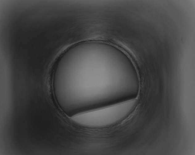 X0000100911455200806241041