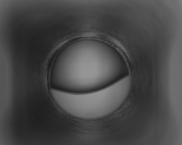 X0000100911456200806241041