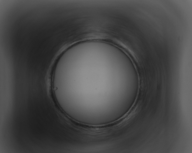 X0000100911459200806241041