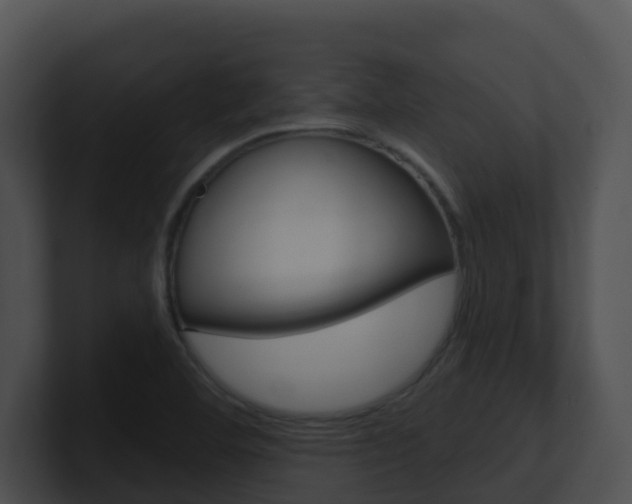 X0000100911460200806241041