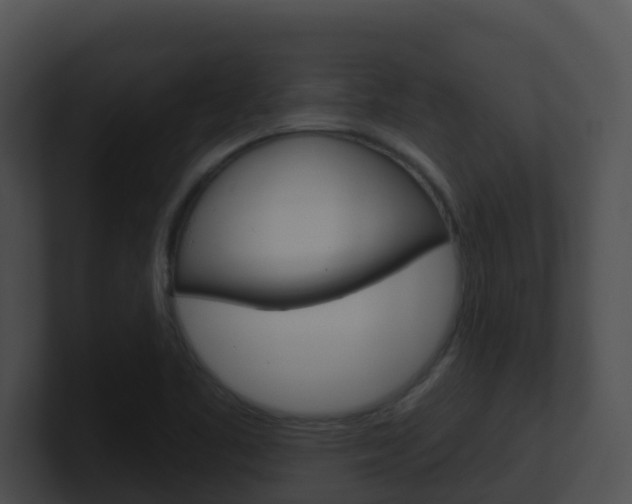 X0000100911461200806241041