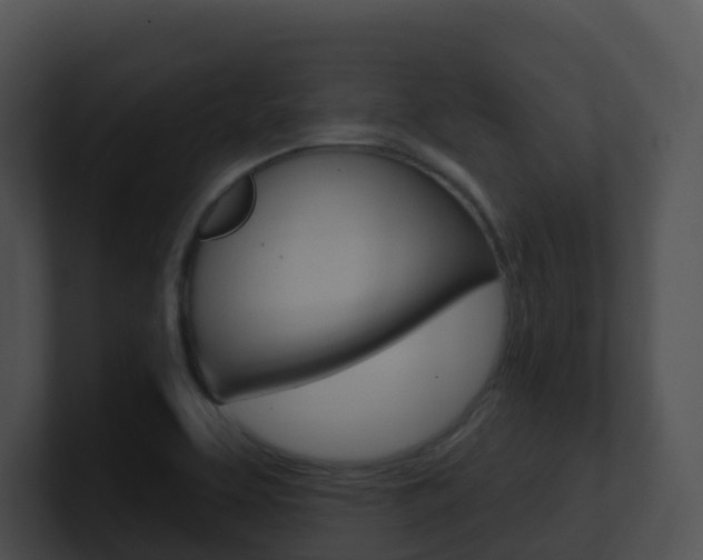 X0000100911463200806241041