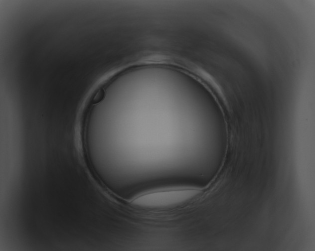 X0000100911464200806241041