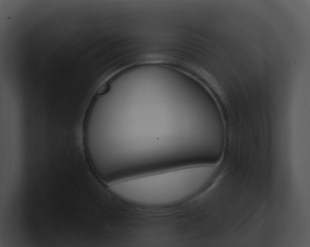 X0000100911465200806241041