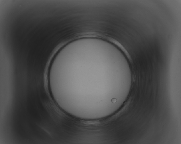 X0000100911466200806241041