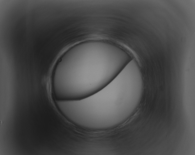 X0000100911467200806241041