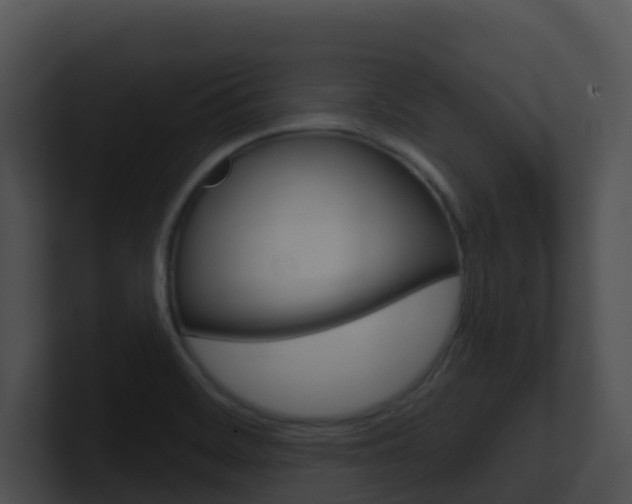 X0000100911468200806241041