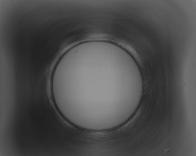 X0000100911470200806241041