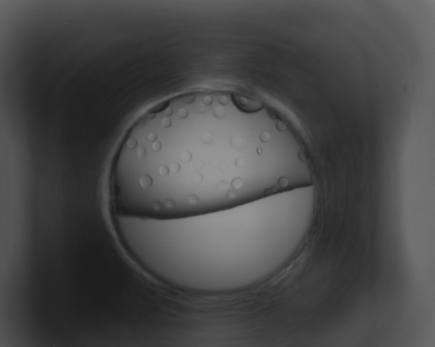 X0000100911471200806241041
