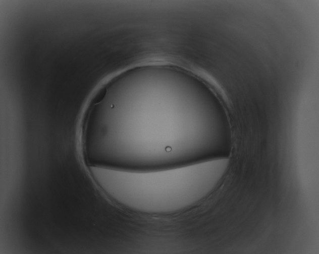 X0000100911472200806241041