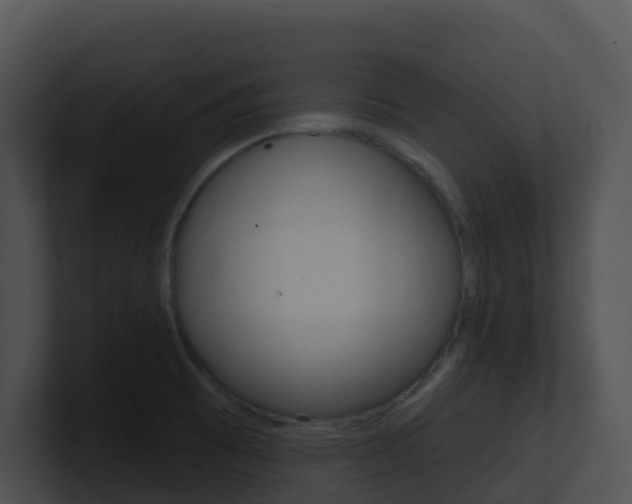 X0000100911473200806241041