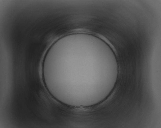 X0000100911474200806241041