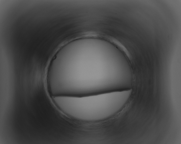 X0000100911475200806241041