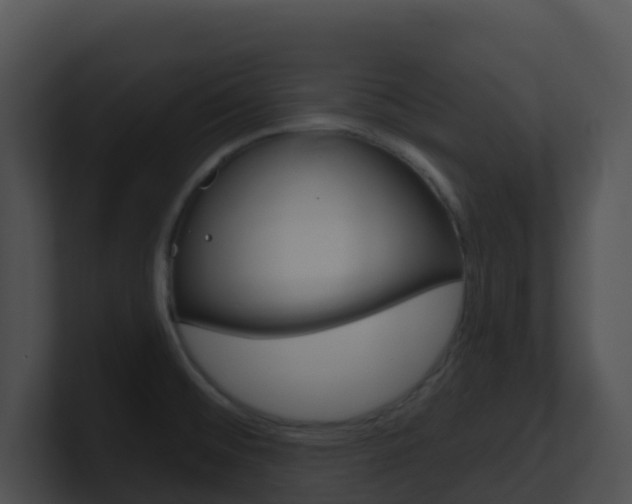 X0000100911476200806241041