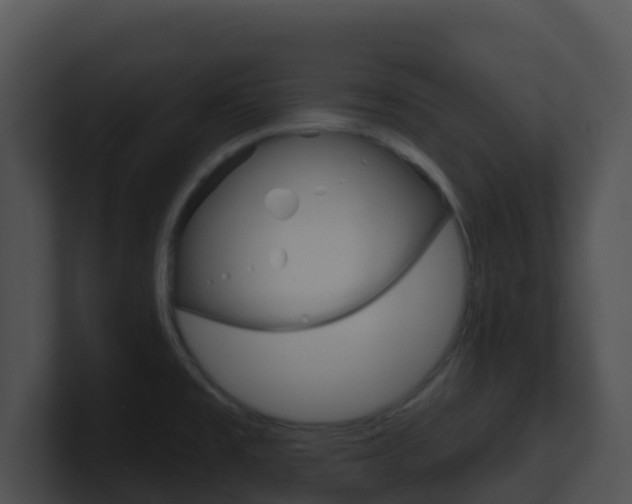X0000100911477200806241041