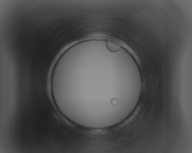 X0000100911478200806241041
