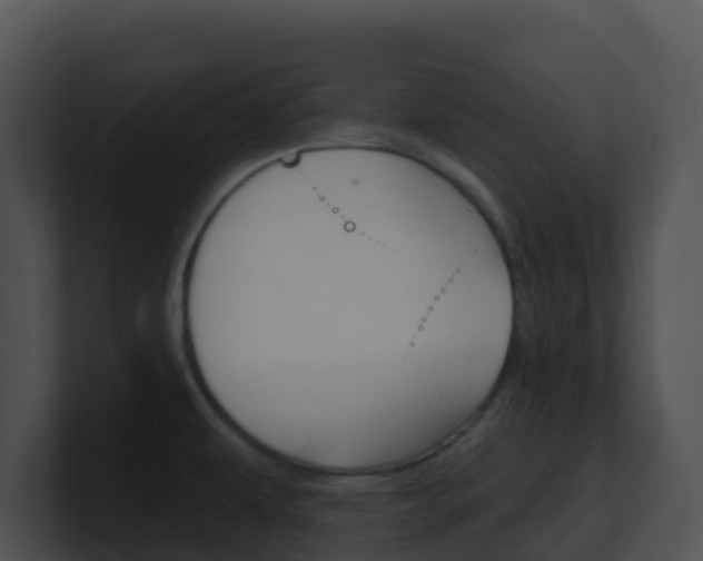 X0000100911479200806241041
