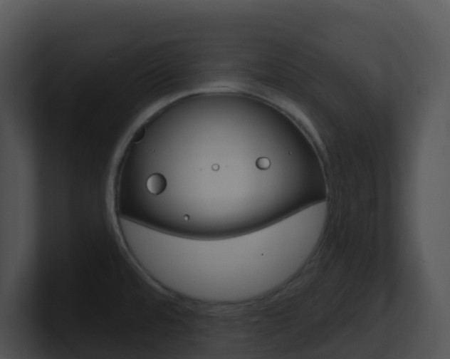 X0000100911480200806241041