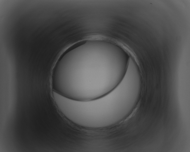 X0000100911481200806241041