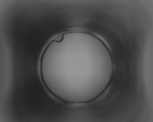 X0000100911482200806241041