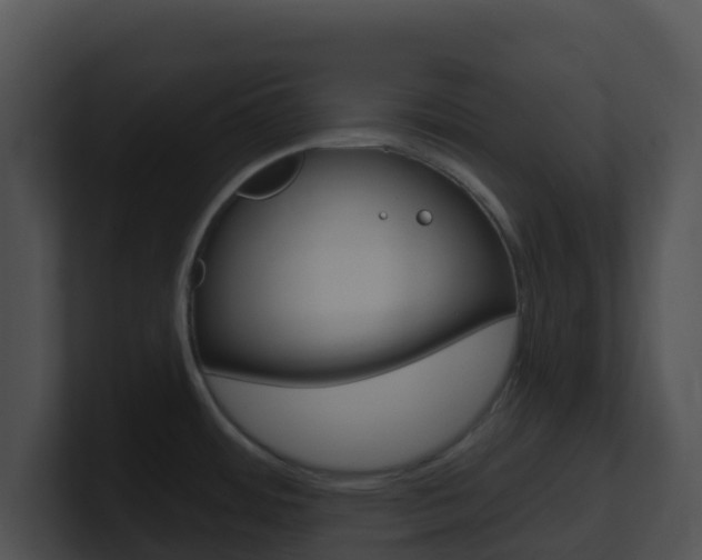 X0000100911484200806241041
