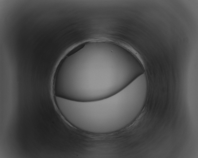 X0000100911485200806241041
