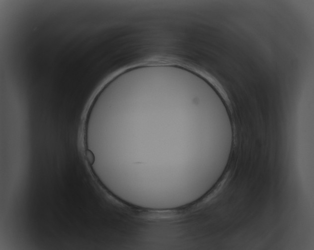X0000100911486200806241041