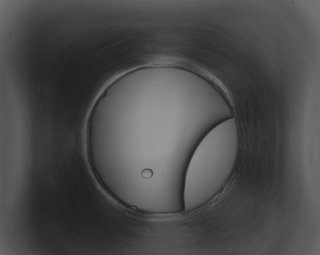X0000100911487200806241041