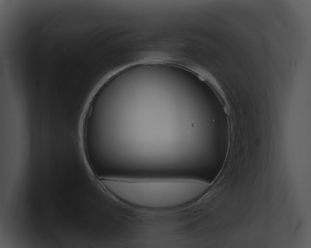 X0000100911488200806241041
