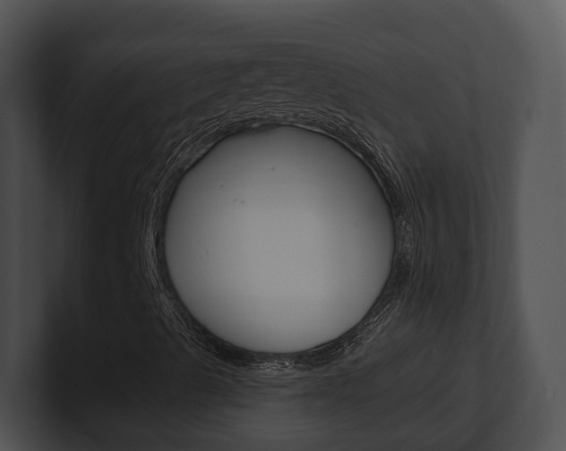 X0000100911489200806241040