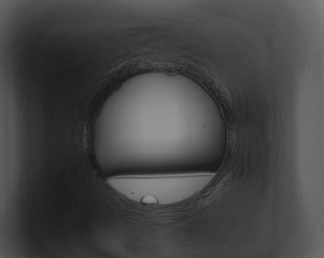 X0000100911490200806241040
