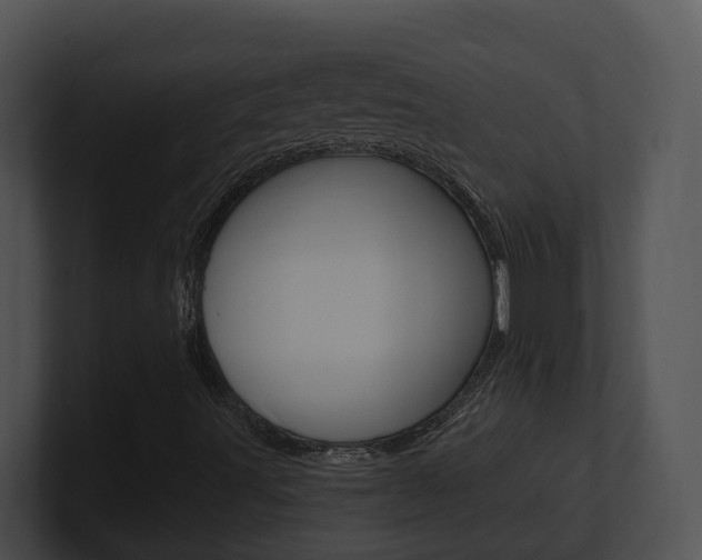 X0000100911491200806241040