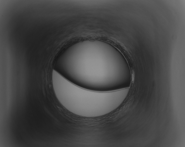 X0000100911492200806241040