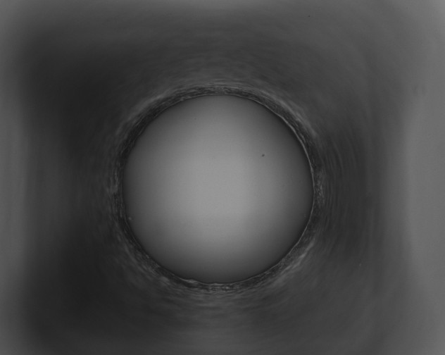 X0000100911494200806241040