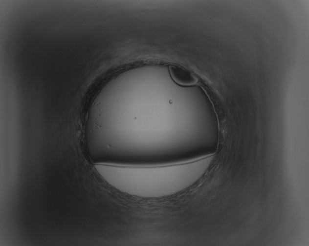 X0000100911495200806241040