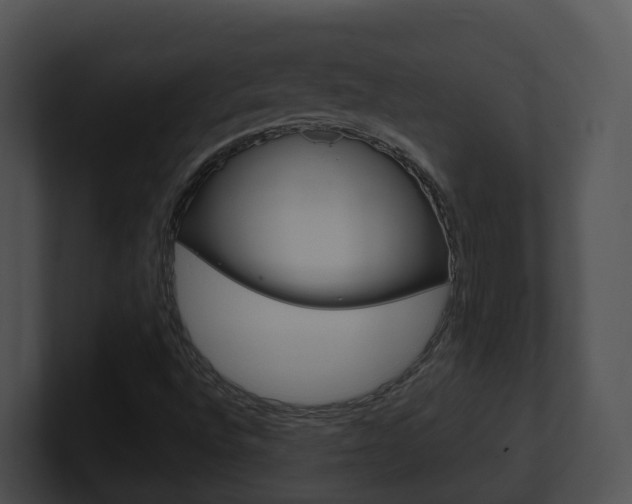 X0000100911496200806241040