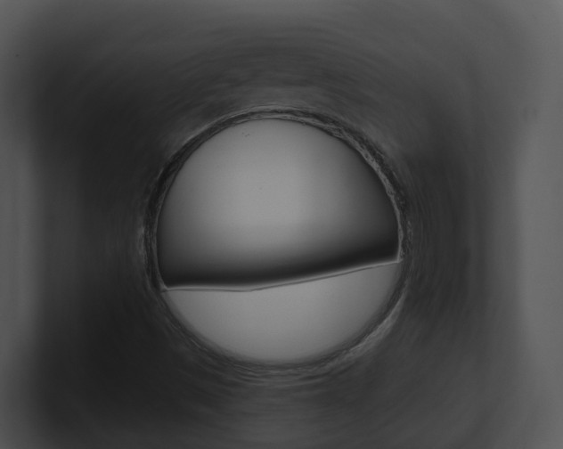 X0000100911497200806241040