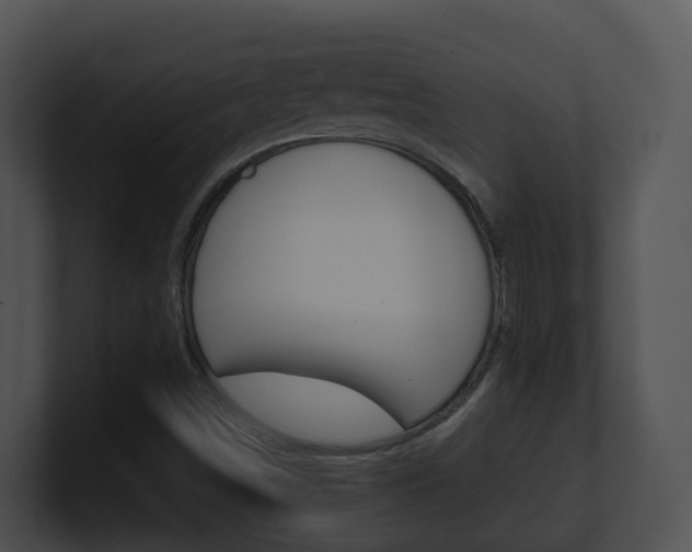 X0000100911498200806241040