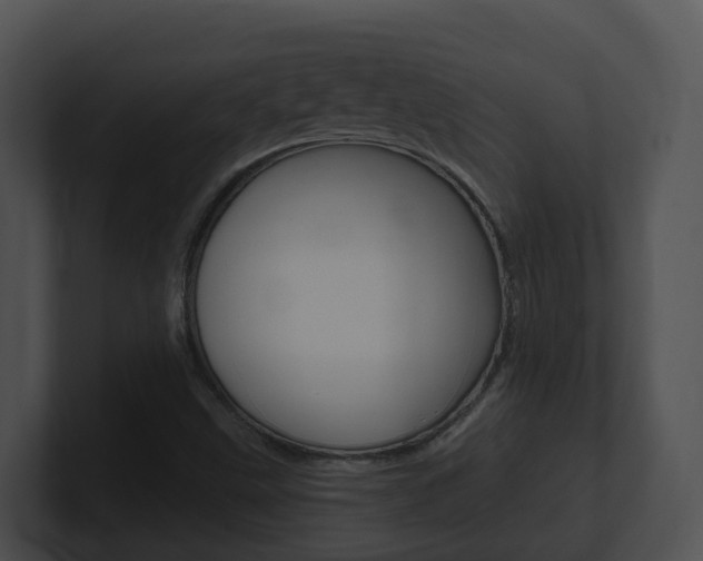 X0000100911499200806241040
