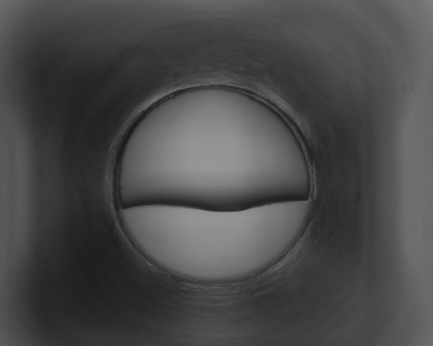 X0000100911500200806241040