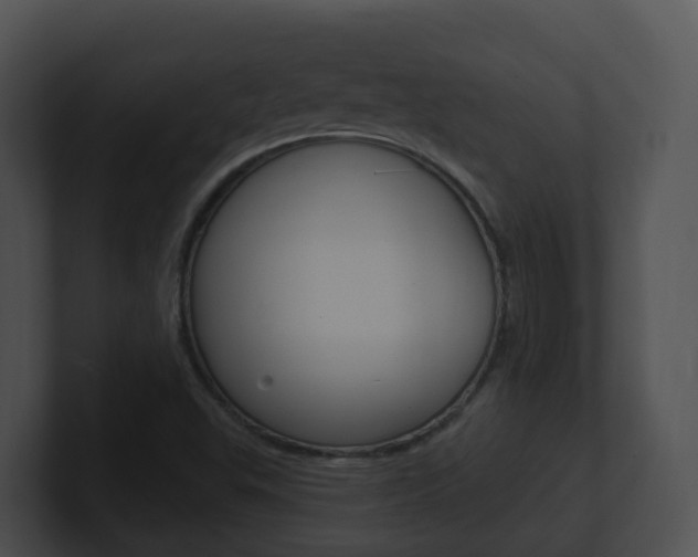 X0000100911503200806241040
