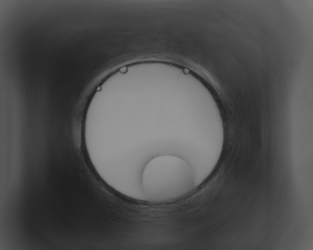 X0000100911504200806241040