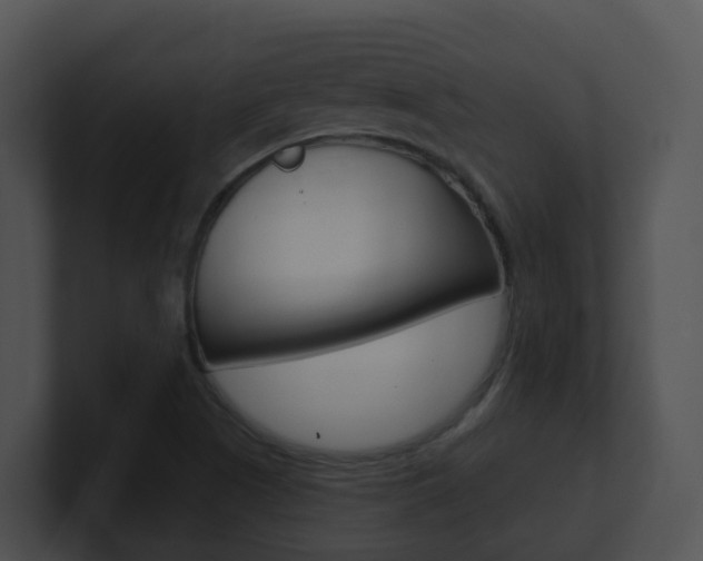 X0000100911505200806241040