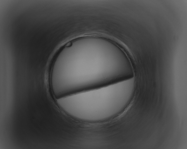 X0000100911506200806241040