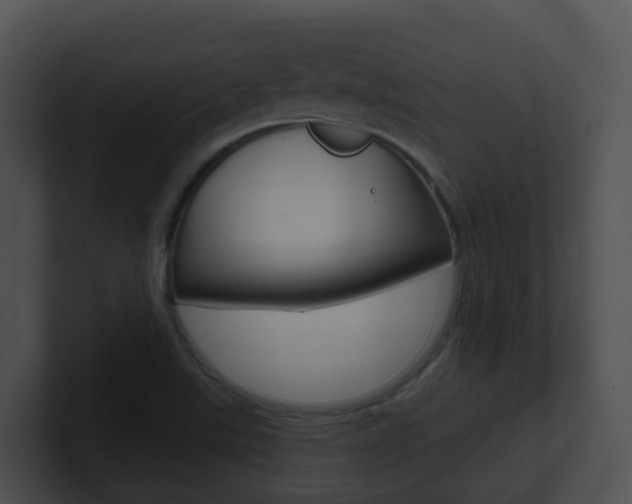 X0000100911507200806241040