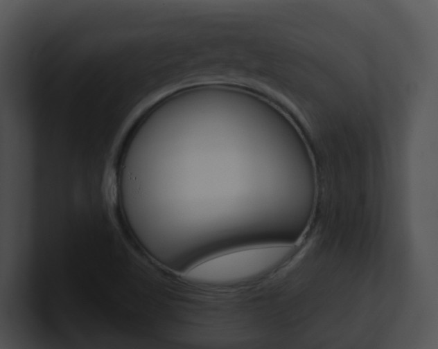 X0000100911509200806241040