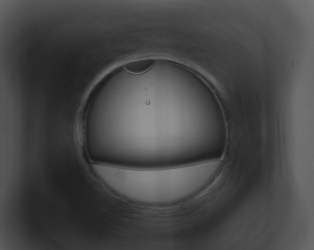 X0000100911510200806241040